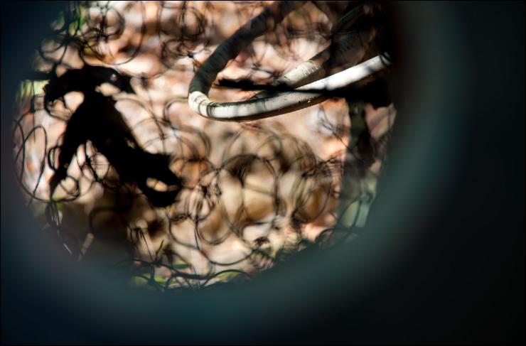 AWAYSteeringWheel0381-4